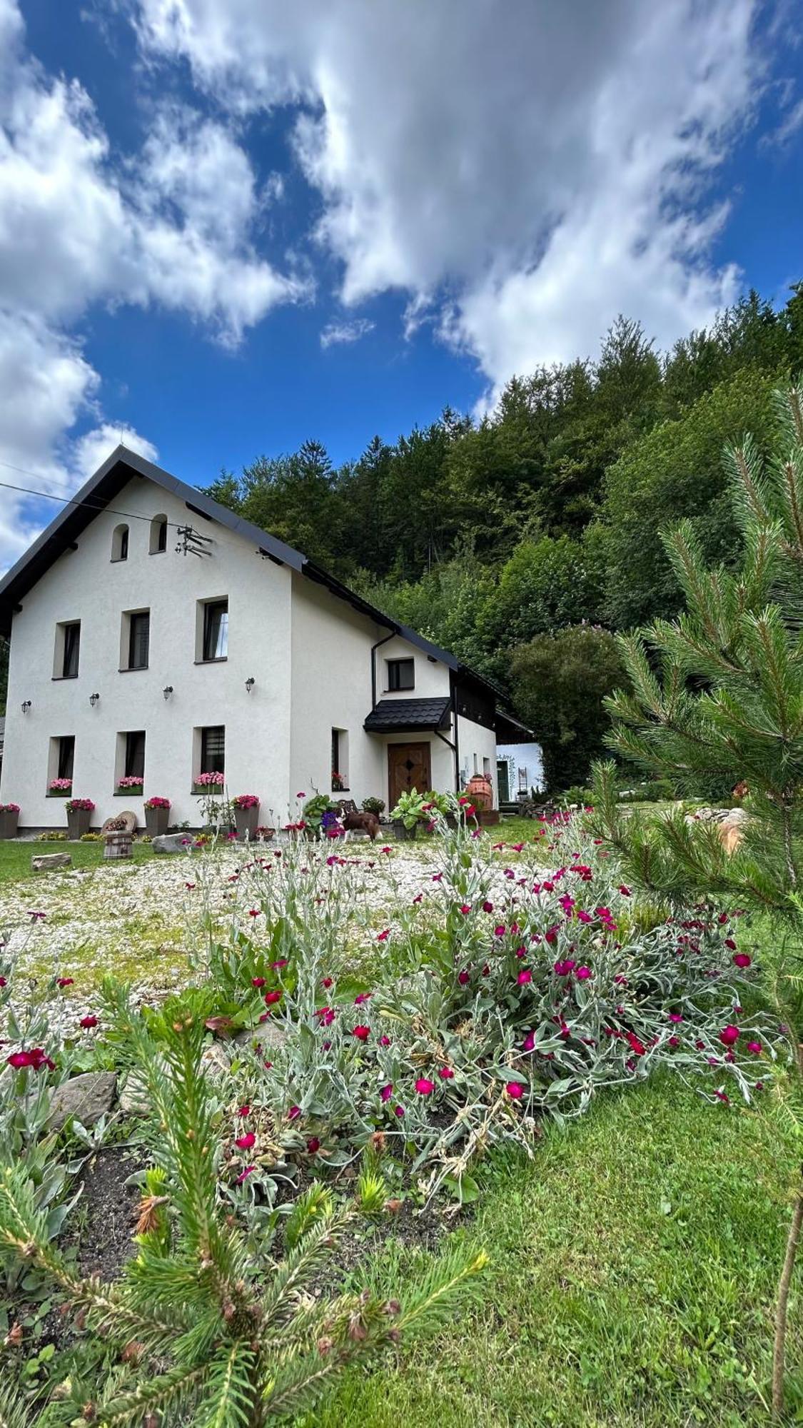 Apartamenty Goszowianka Stronie Slaskie Luaran gambar